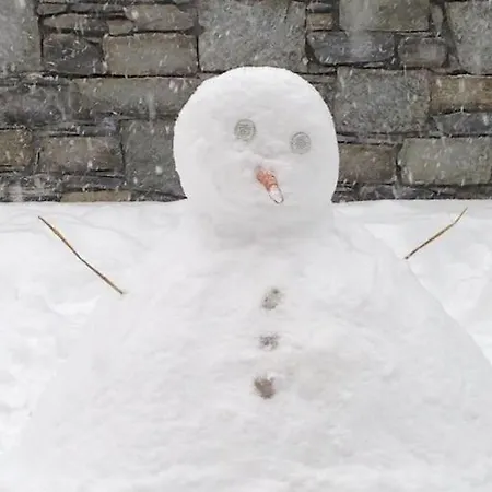 木屋 Manggis, 1650 *